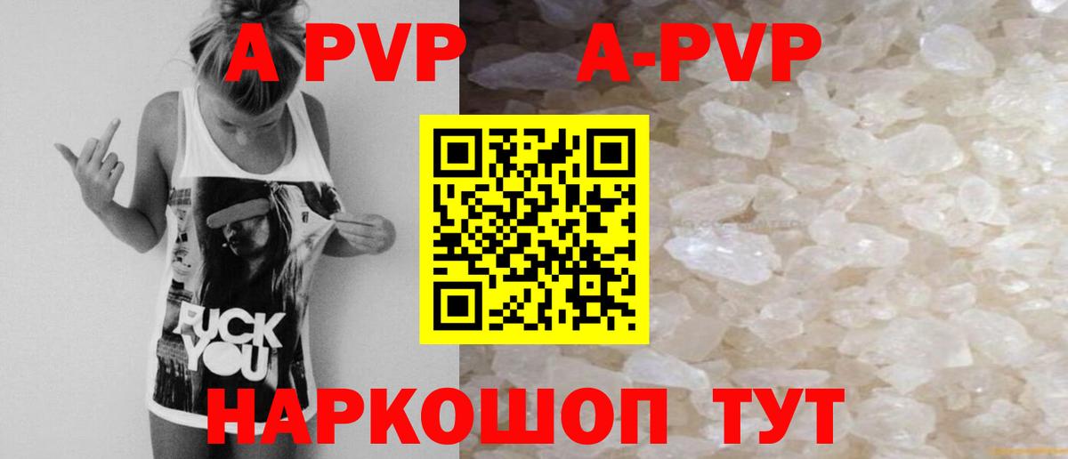 A PVP СК Москва
